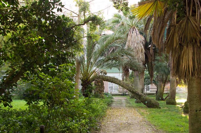 Orto Botanico Cagliari